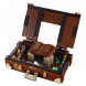 Конструктор LEGO Harry Potter 75952 Чемодан Ньюта Саламандера в Казани
