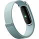 Фитнес-браслет Google Fitbit Air (Серо-голубой/Fog) в Казани