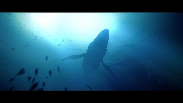 Игра Under The Waves [PS4, русские субтитры] в Казани